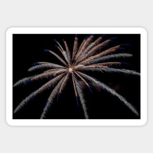 Fireworks Sticker